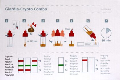 Test Crypto-Giardia  en heces, formato casete - Imagen 3