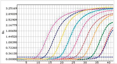 Solución Completa Real-time PCR Para Covid19 - Akralab