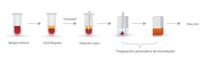 Analizador de Bioquímica Clínica BS-430 - Imagen 5