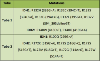 Kit de detección de mutación IDH1/2 TRUPCR® - Imagen 2